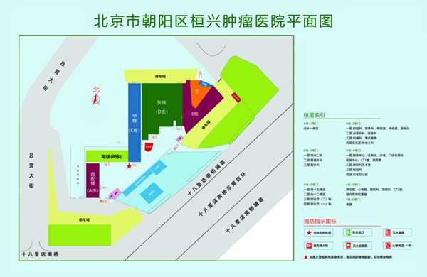 被操高潮受不了视频北京市朝阳区桓兴肿瘤医院平面图